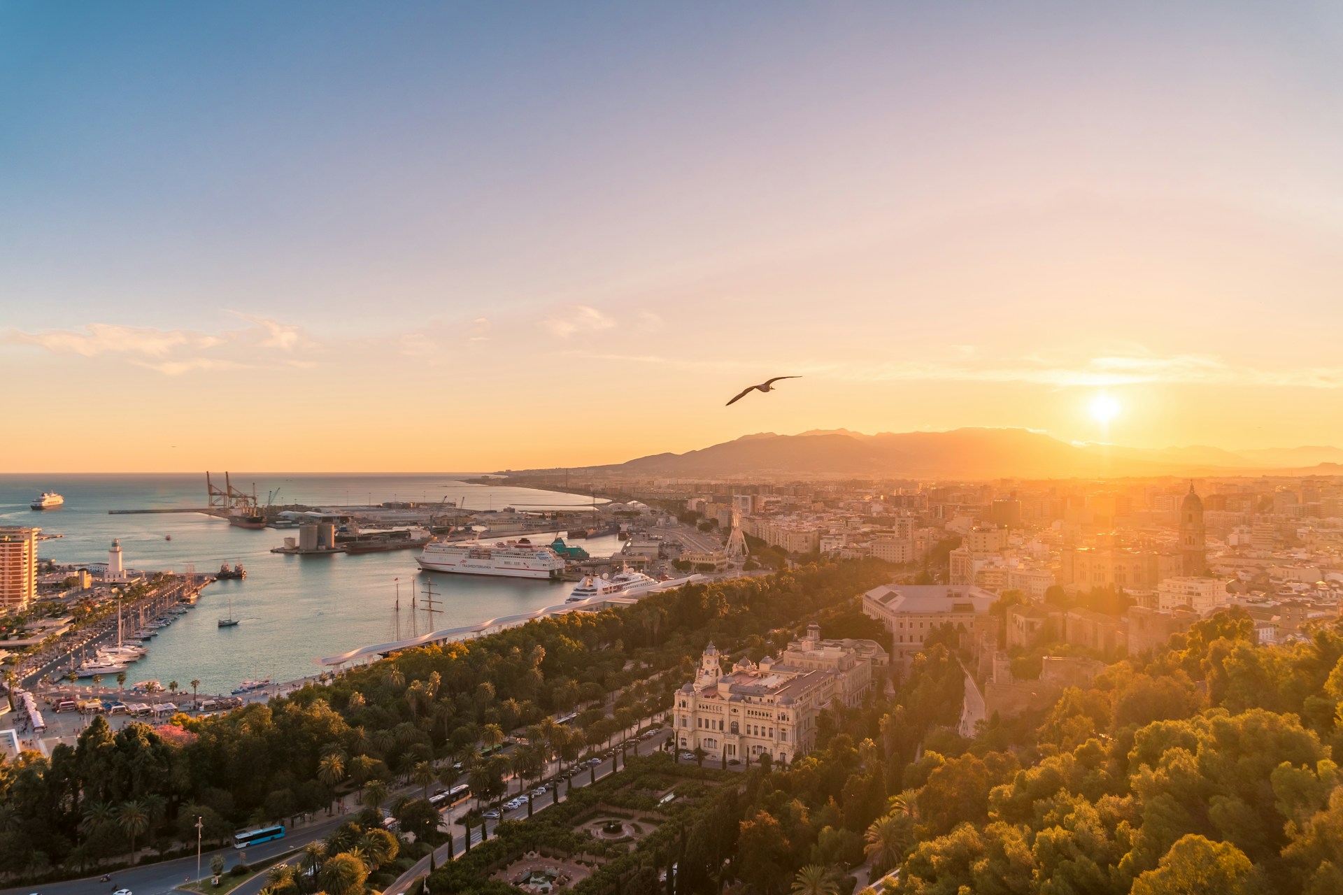 Las mejores zonas para vivir en Málaga: calidad de vida, cultura y bienestar mediterráneo