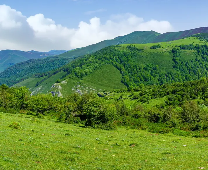 Why Choose A Sustainable Home